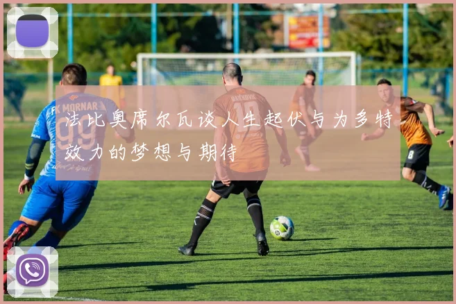 法比奥席尔瓦谈人生起伏与为多特效力的梦想与期待