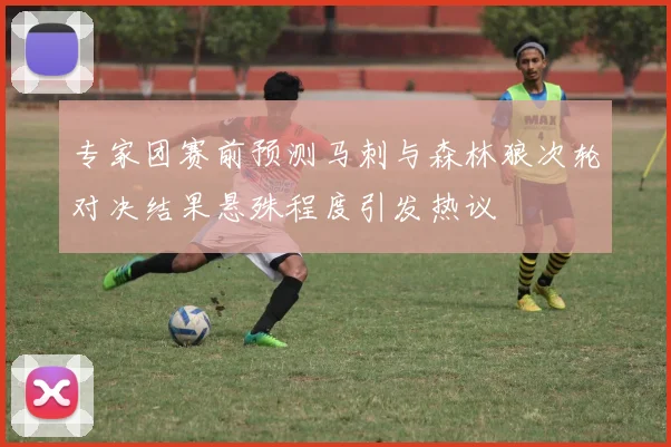 专家团赛前预测马刺与森林狼次轮对决结果悬殊程度引发热议